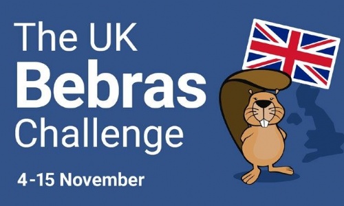 Bebras challenge's logo
